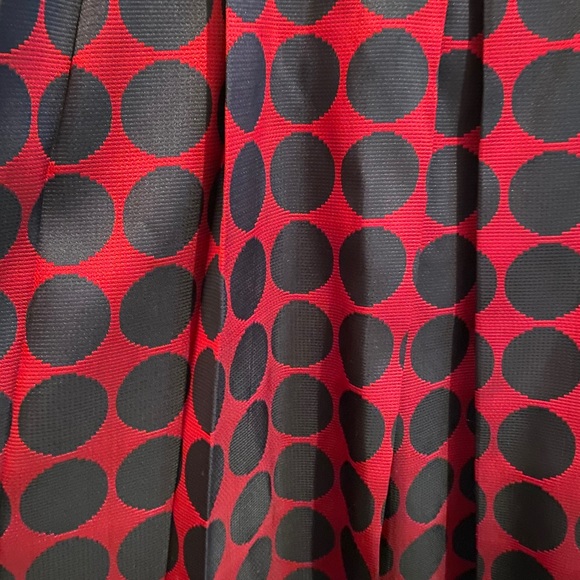 Long Pleated Skirt - Picture 2 of 4